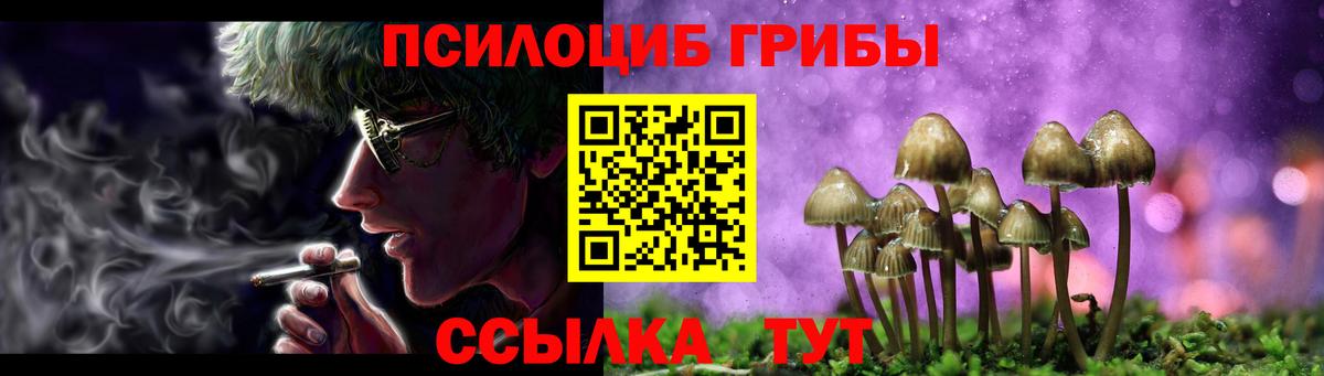 Псилоцибиновые грибы ЛСД  Галлюциногенные грибы GOLDEN TEACHER  Сальск  Вход с VPN 